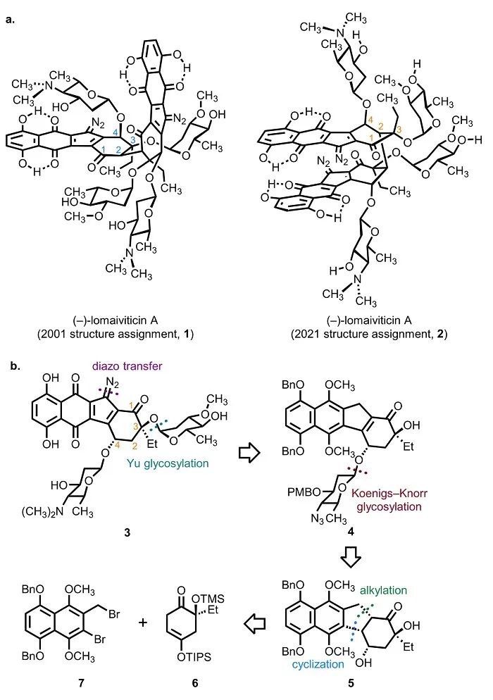 目标分子(-)-lomaiviticin A修订前后的分子结构及单体的逆合成分析