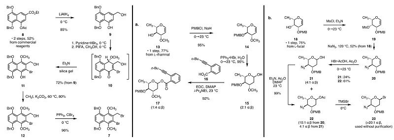 萘酚衍生物7、糖基化给体17和23的合成