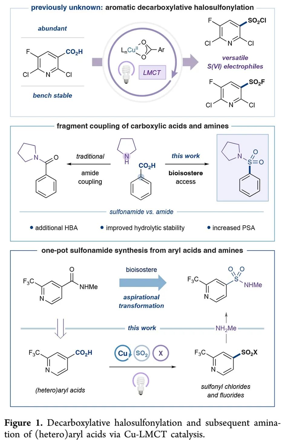 光促铜催化脱羧卤磺酰化助力芳基磺酰胺的一锅合成