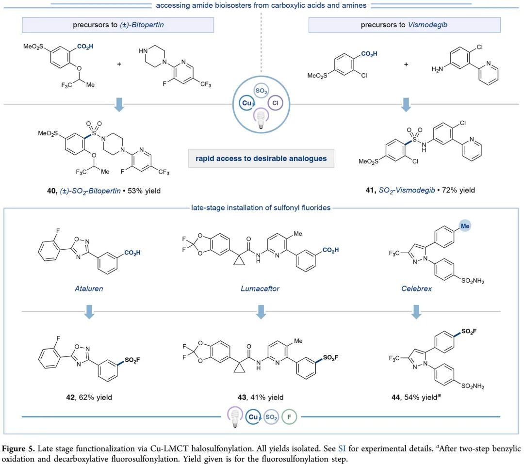 光促铜催化脱羧卤磺酰化助力芳基磺酰胺的一锅合成