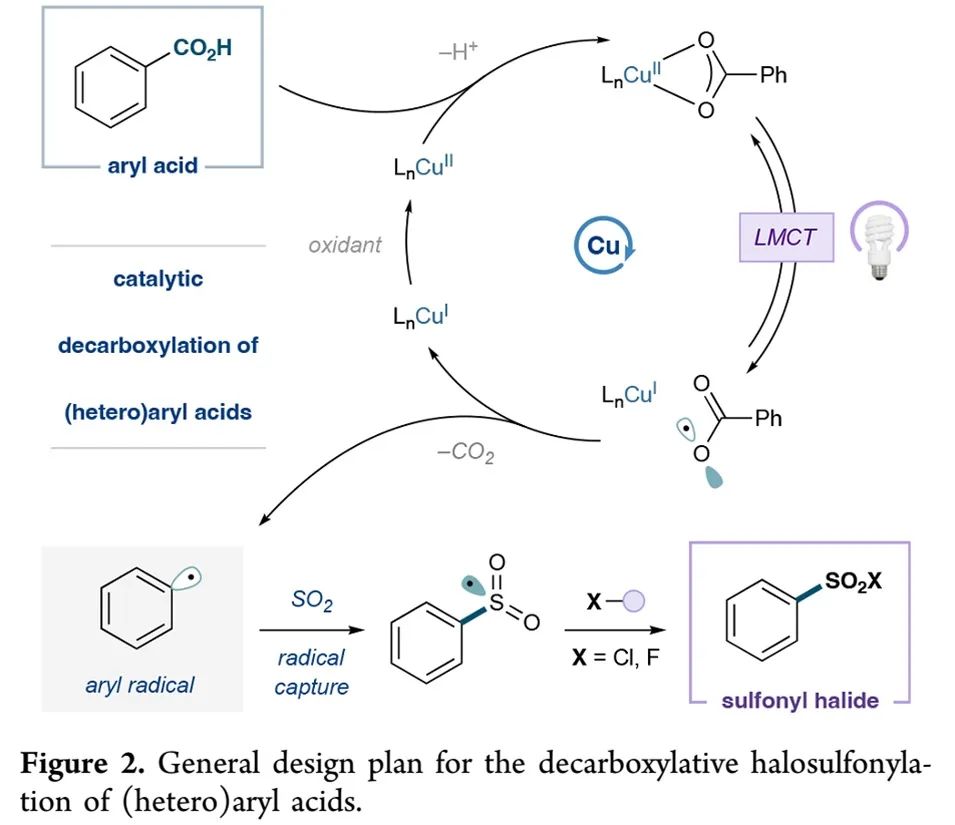 光促铜催化脱羧卤磺酰化助力芳基磺酰胺的一锅合成