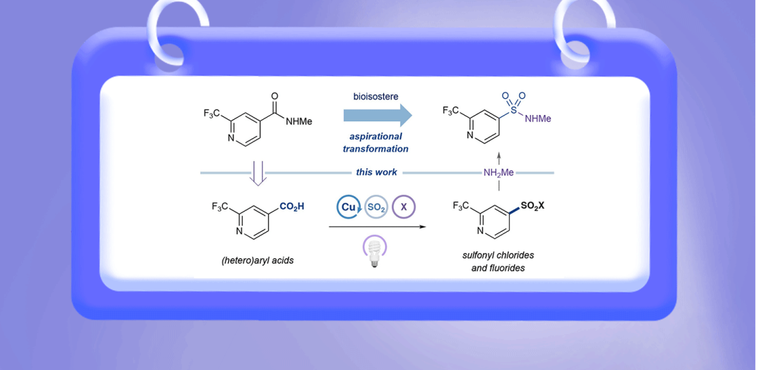 光促铜催化脱羧卤磺酰化助力芳基磺酰胺的一锅合成
