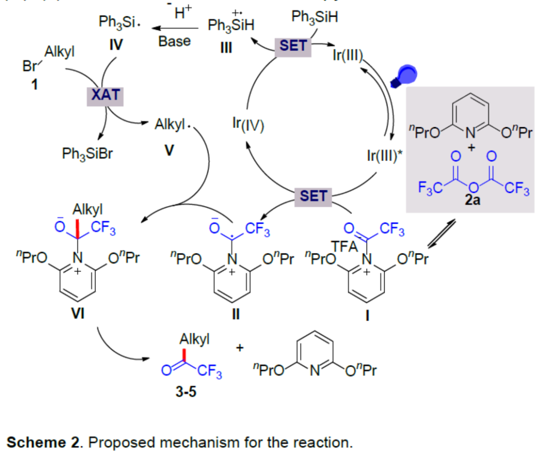 南科大舒伟课题组光催化烷基溴与三氟乙酸酐合成三氟甲基酮