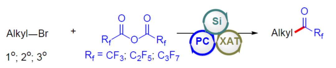 南科大舒伟课题组光催化烷基溴与三氟乙酸酐合成三氟甲基酮
