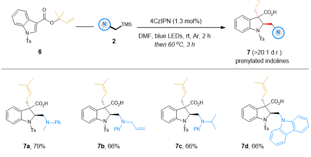 刘杨斌/冯小明团队：光催化缺电子吲哚衍生物的去芳香性戊烯基化反应