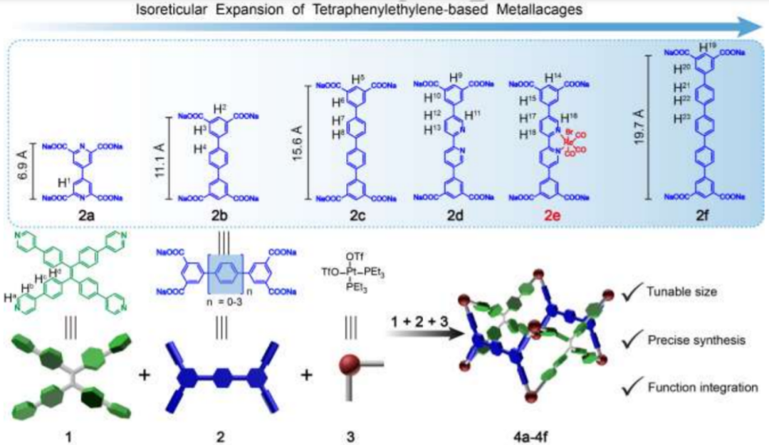 西安交大今日Angew：光催化制氢，产率高达1707 μmol g⁻¹ h⁻¹