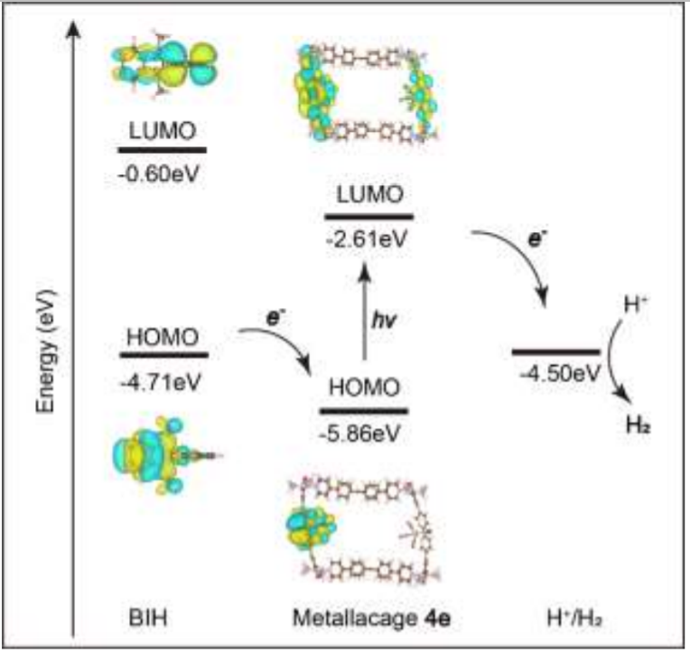 西安交大今日Angew：光催化制氢，产率高达1707 μmol g⁻¹ h⁻¹