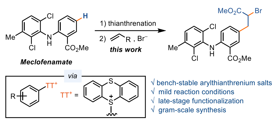 Angew：首例基于芳基噻蒽鎓盐的烯烃光催化Meerwein型溴芳基化反应