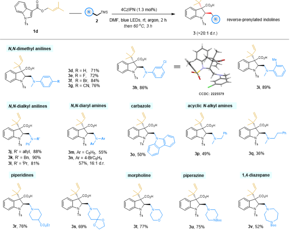 刘杨斌/冯小明团队：光催化缺电子吲哚衍生物的去芳香性戊烯基化反应