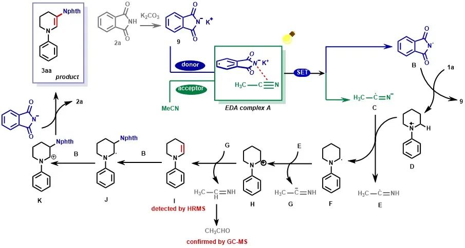 基于EDA络合物介导的光促N-苯基哌啶β-C(sp³)–H酰胺化反应