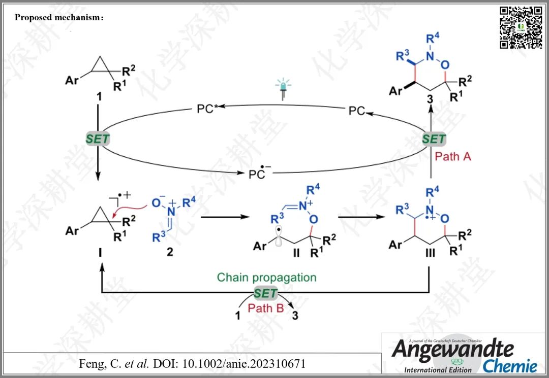 【Angew】南京工业大学冯超：光催化[3+3]偶极环加成反应