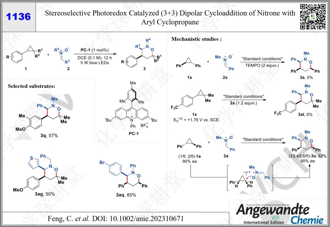 【Angew】南京工业大学冯超：光催化[3+3]偶极环加成反应