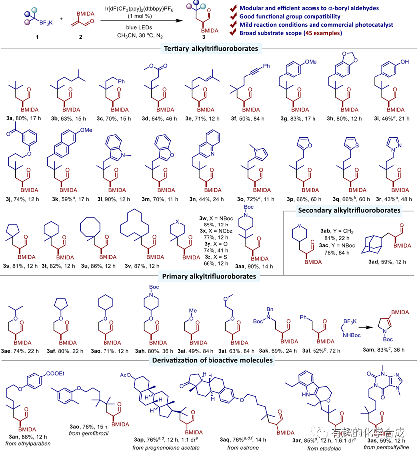 光催化2-BMIDA丙烯醛自由加成反应的多样性导向合成
