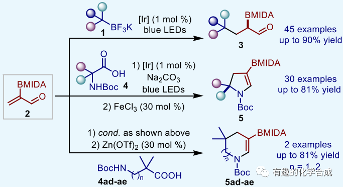 光催化2-BMIDA丙烯醛自由加成反应的多样性导向合成