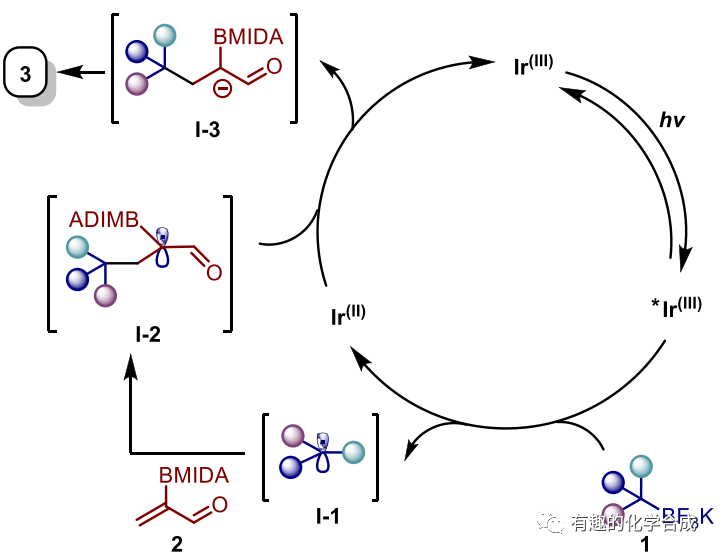 光催化2-BMIDA丙烯醛自由加成反应的多样性导向合成