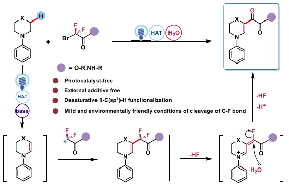 浙江工业大学金灿小组借助光催化实现二氟烷基自由基加成，最终合成酰基酮产物