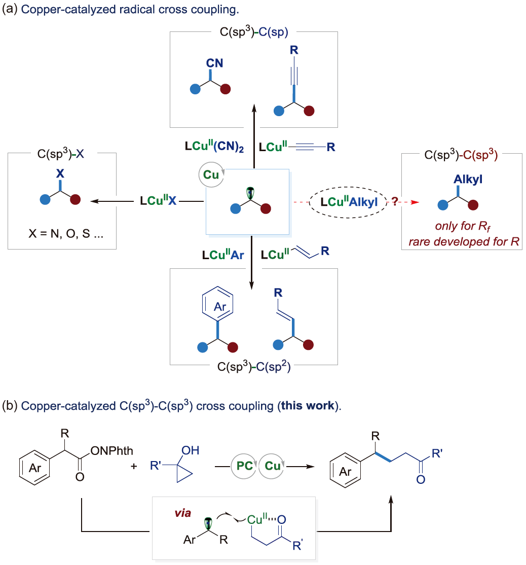 上海有机所刘国生团队：光/铜共催化的自由基脱羧C(sp3)-C(sp3)偶联反应