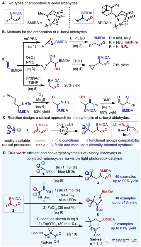 光催化2-BMIDA丙烯醛自由加成反应的多样性导向合成