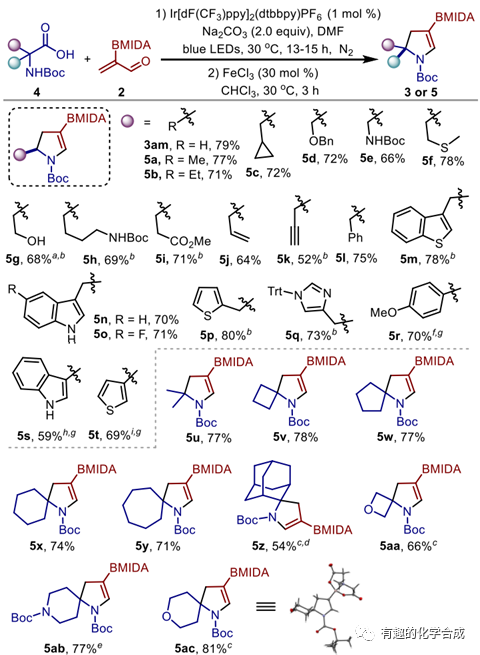 光催化2-BMIDA丙烯醛自由加成反应的多样性导向合成