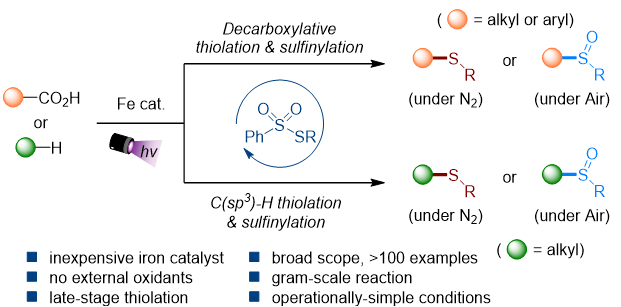 光诱导配体到金属的电荷转移，铁催化羧酸和碳氢化合物的 C-S 键形成反应